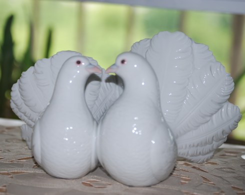 A pair of love birds