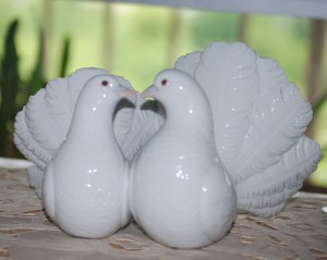 A pair of love birds