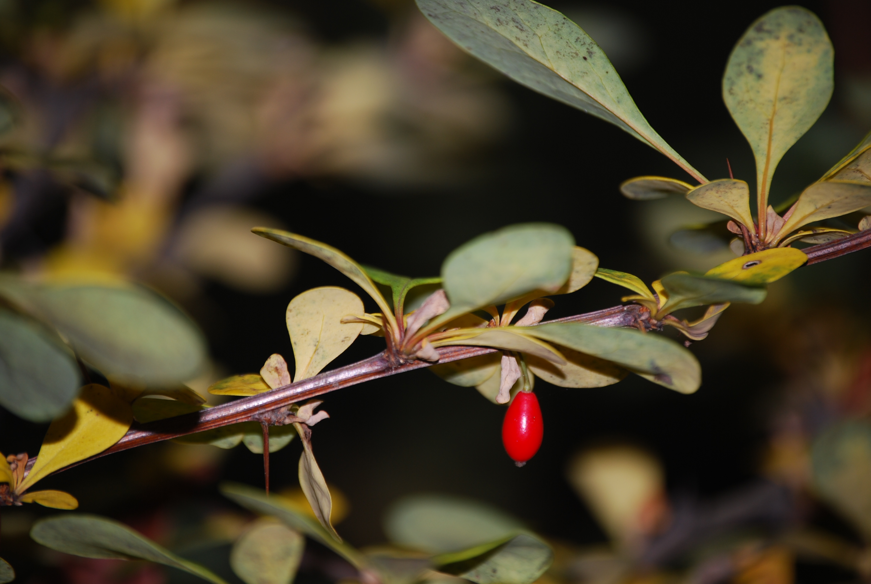 Weekly Challenge - One