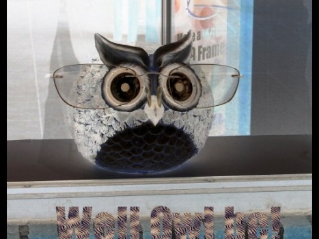 Well Owl Be!