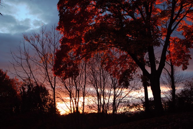 autumn evening