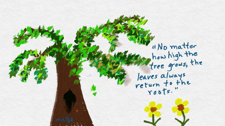 leaves return to roots