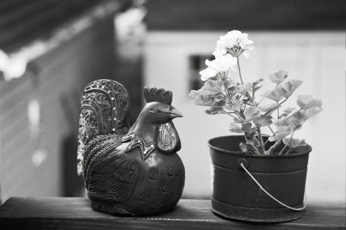 We look good together. 