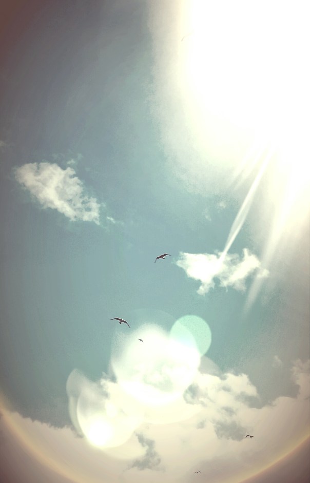 PHOTOS FOR KEEPS 465